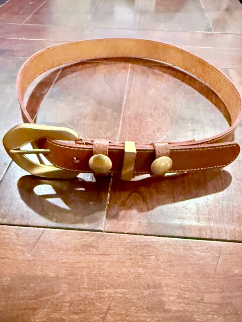 New! Anthropologie Everstar Western Brown Leather Belt with Studs Size Medium